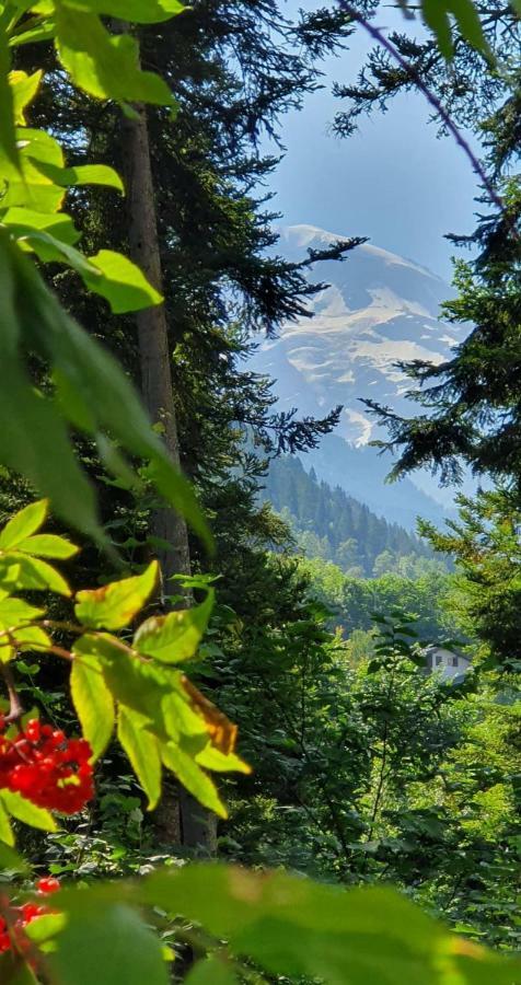 Castel De Roches Apartman Saint-Gervais-les-Bains Kültér fotó